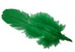 緑の羽根